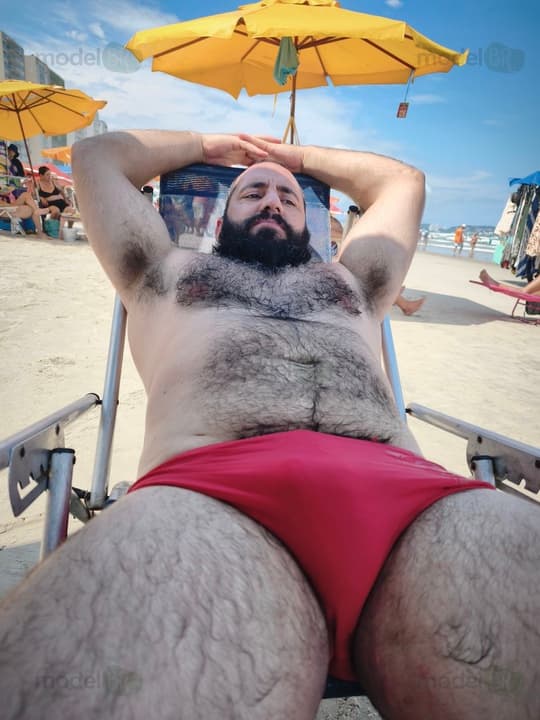 Urso gaúcho